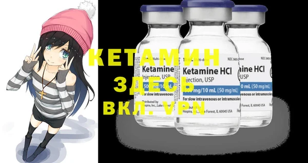 крисы Няндома