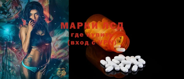 прущие грибы Новокубанск