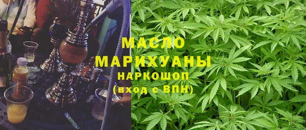 крисы Няндома