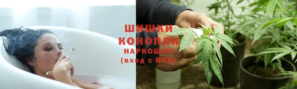 крисы Няндома