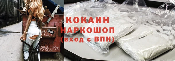 крисы Няндома
