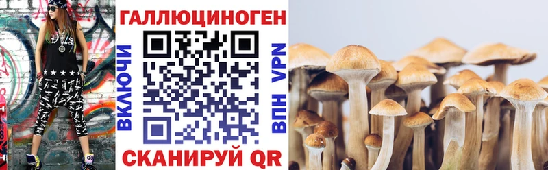 Псилоцибиновые грибы мухоморы  наркота  Кяхта 